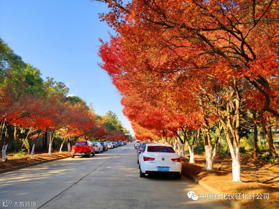 11aIMG_20191210 (344)_调整大小.jpg