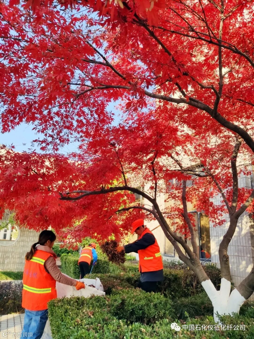 8aIMG_20191210 (66)_调整大小.jpg