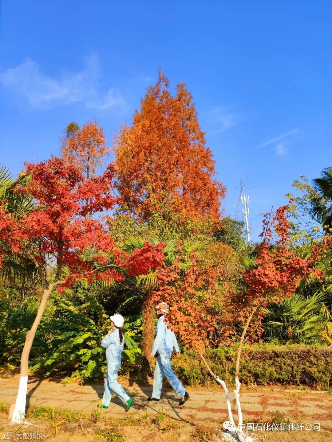 7aIMG_20191210 (167)_调整大小.jpg