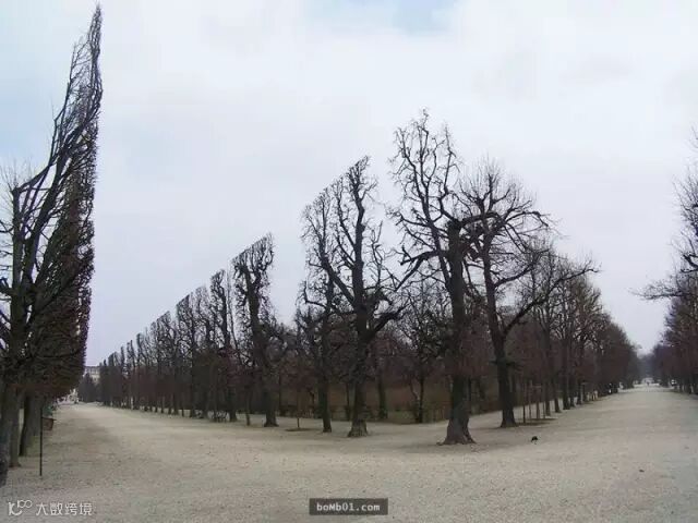 不必经过PS修图就足以让大家都赞叹的现实照片