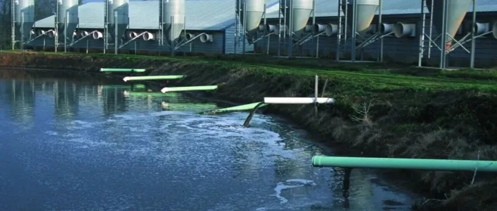 总磷vs磷酸盐：从原理到操作步骤的全面解析