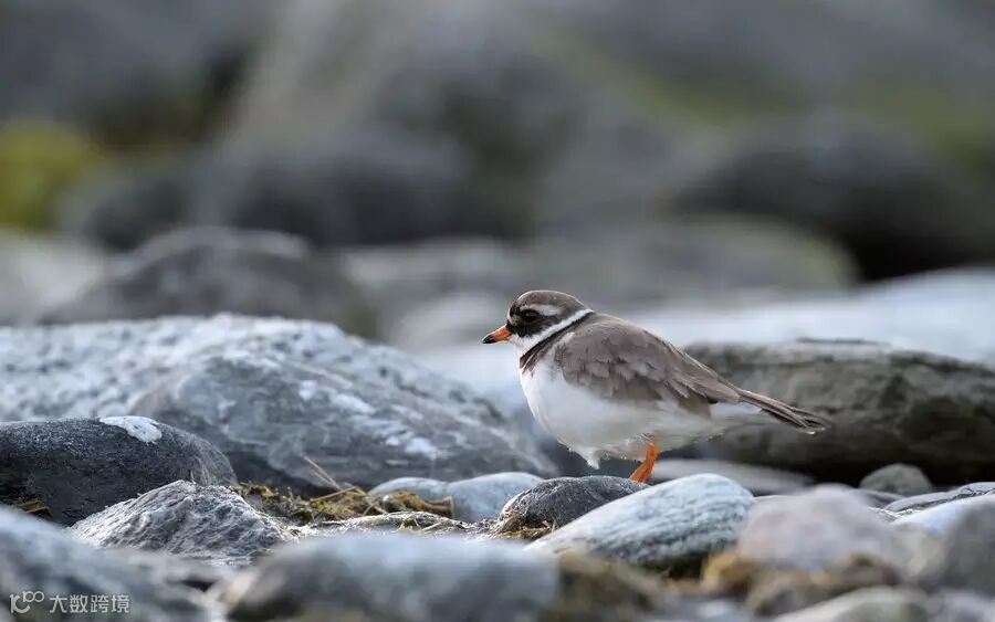 高ISO不是罪 4个善用高感光度的方法_4_2