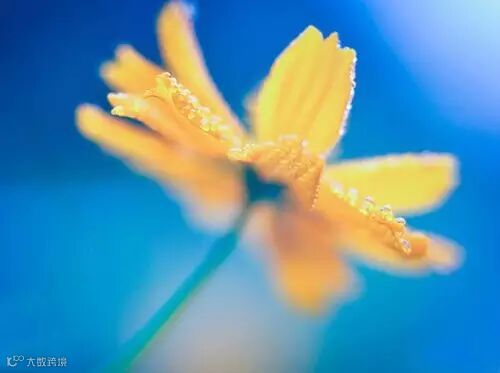 放弃无用 <wbr>摄影是减法的艺术 <wbr>(组图)