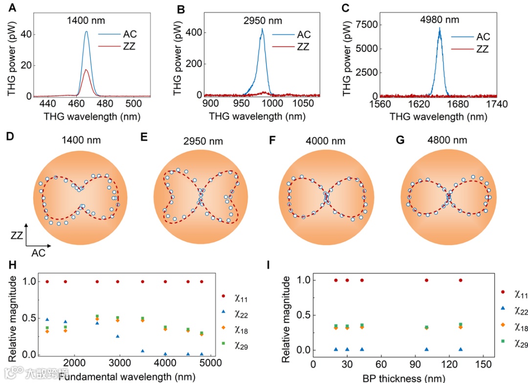 图表

AI 生成的内容可能不正确。