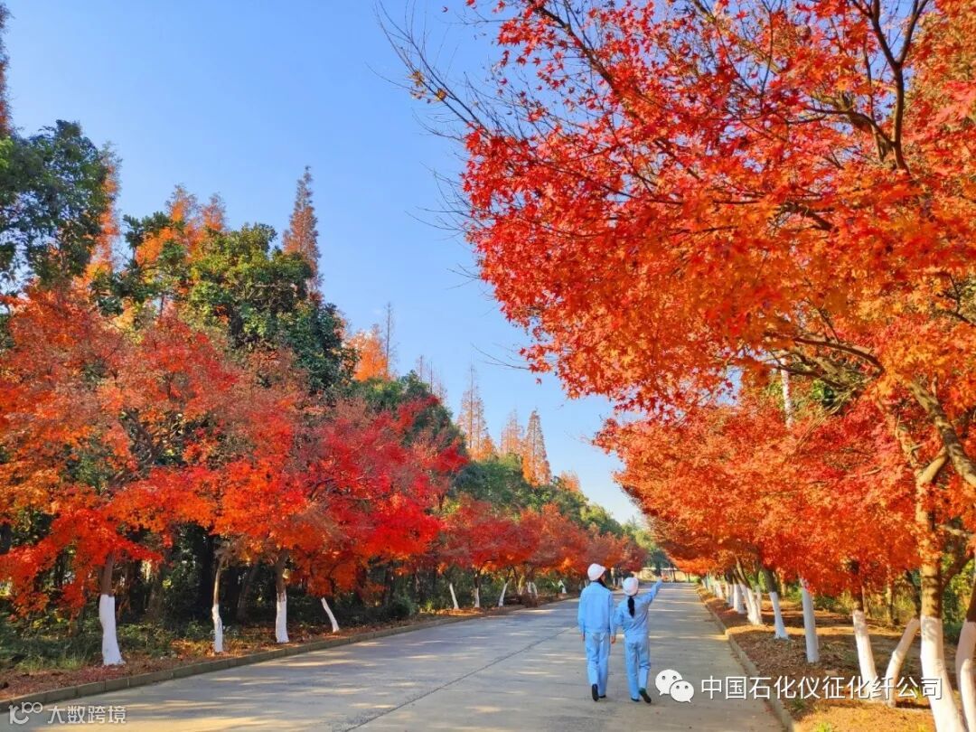 11aIMG_20191210 (438)_调整大小.jpg