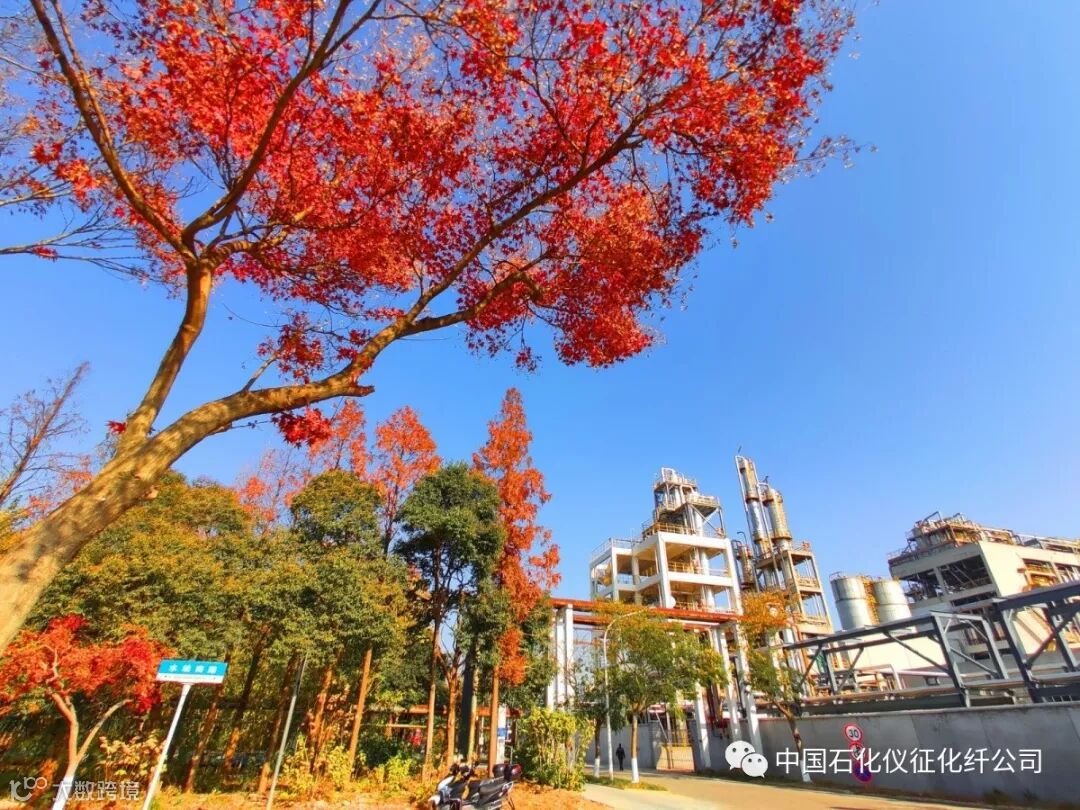 5aIMG_20191210 (529)_调整大小.jpg