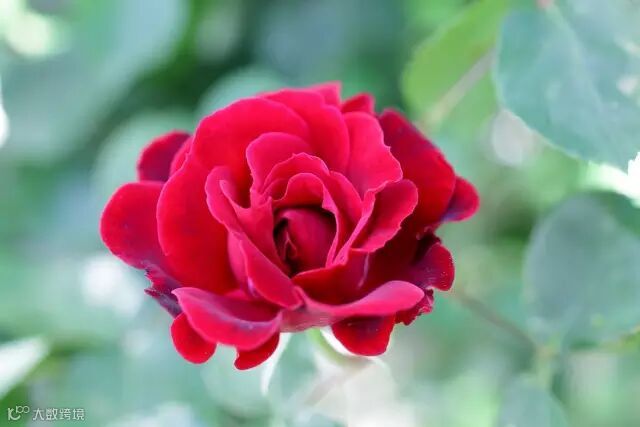 点击查看源网页