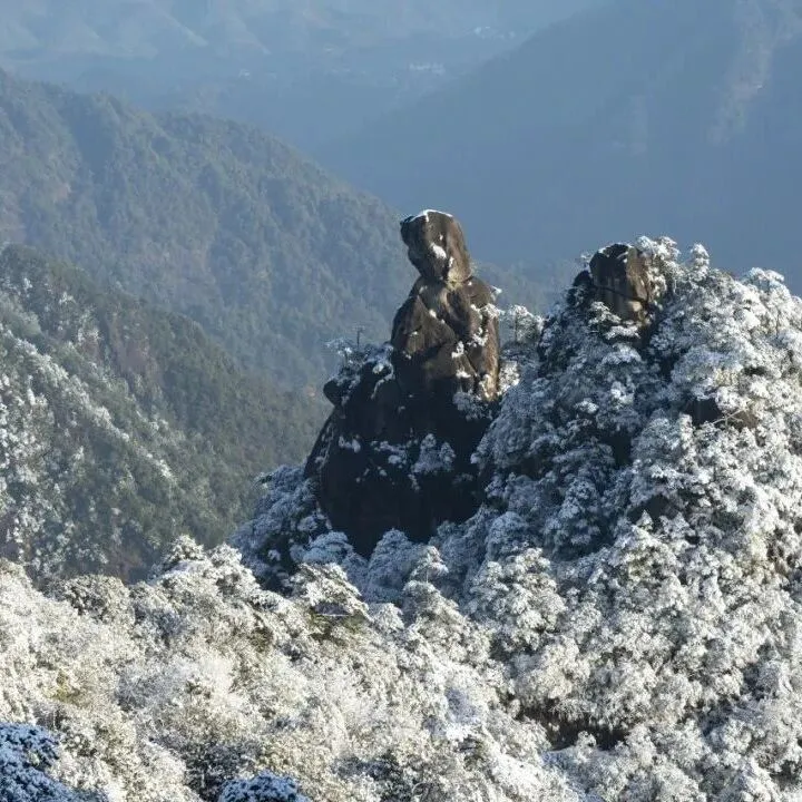 笔记 | Z6Ⅲ 以精准对焦与细腻影调，写意三清山云雾