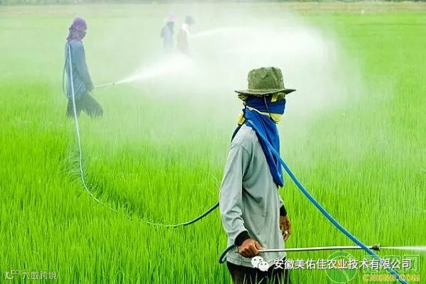除草剂怎么使用效果最好?除草剂的选择及使用方法介绍