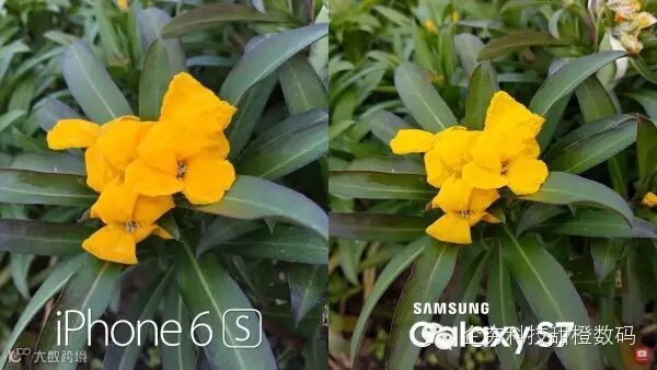 samsung-galaxy-s7-mops-the-floor-with-iphone-6s-in-camera-test-comparison-video-501187-2.jpg