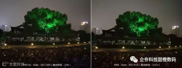 P61114-184727 荷塘树影 夜景 Auto 对比.jpg