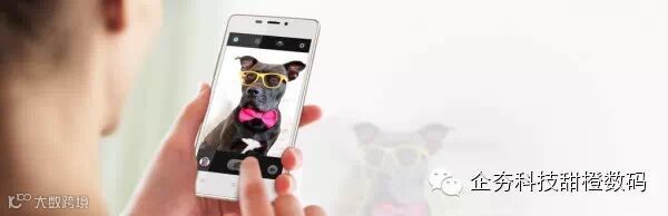 section5-2040.0 - 副本.jpg