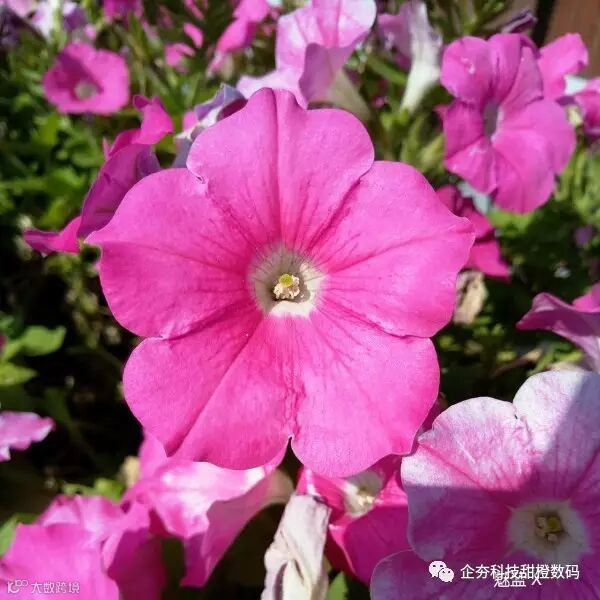 P61209-114538 M3X - 微距.jpg