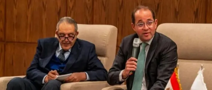 埃及税改重磅！33 项新政落地，中企出海埃及迎实质性成本红利