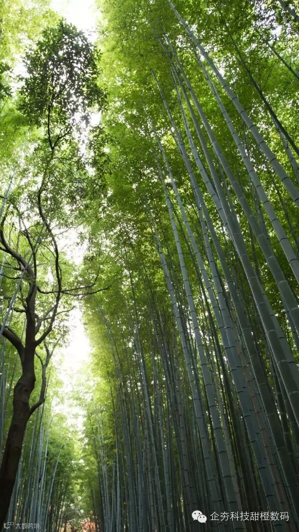 1-6 The-images-we-used-for-our-experiment.jpg