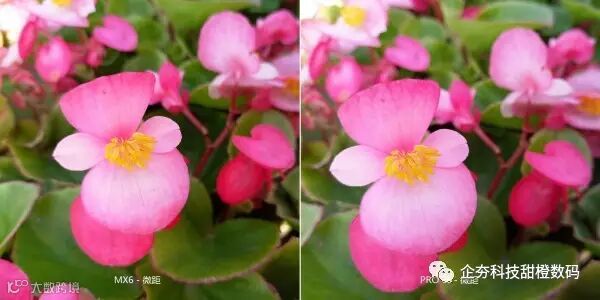 P61111-141134 微距 - Manual.jpg