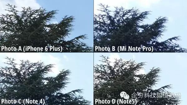 1.2 Close-up-view.jpg