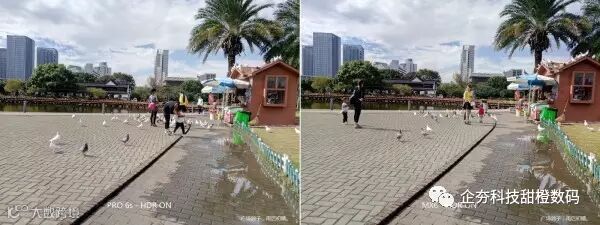 P61114-121326 广场鸽子 雨后初晴 - HDR ON.jpg