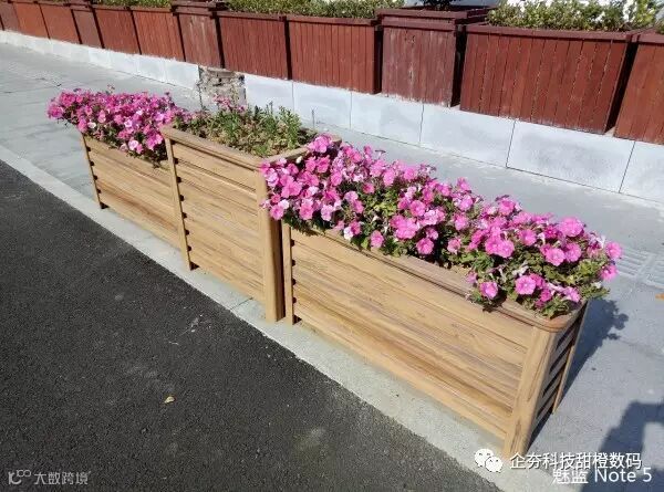 P61209-114455 m5 note - 花坛 w1280.jpg