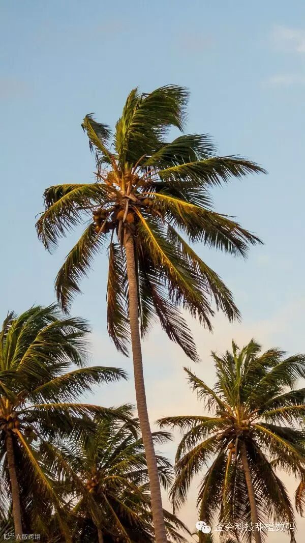 1-4 The-images-we-used-for-our-experiment.jpg