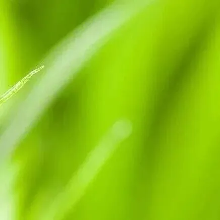 济南最高气温直冲21℃！