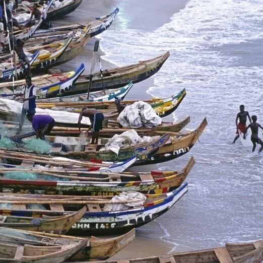 预混料行业违规记录达 2700 万加纳塞地 / Premix Sector Records GH¢<em>27m</em> in Irregularities