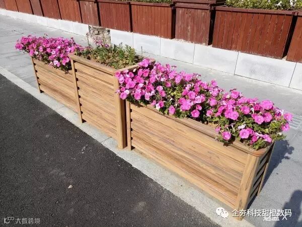 P61209-114518 M3X - 花坛 w1280.jpg