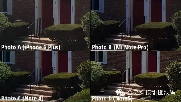 1.1 Close-up-view.jpg