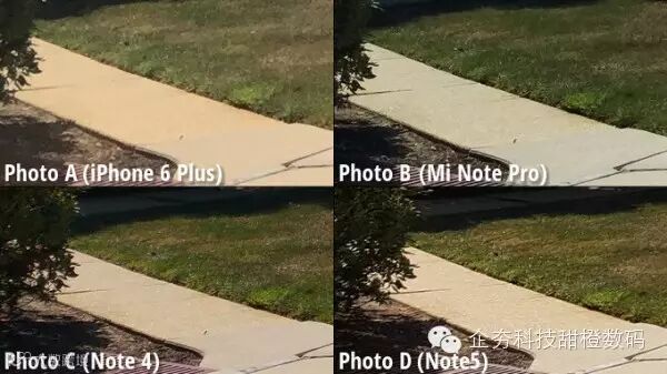 1.3 Close-up-view.jpg