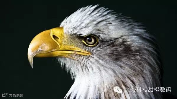 1-2 The-images-we-used-for-our-experiment.jpg