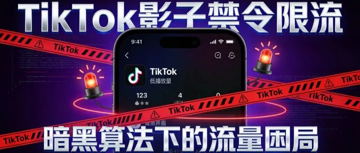 TikTok被限流了怎么办？2026最新自测指南