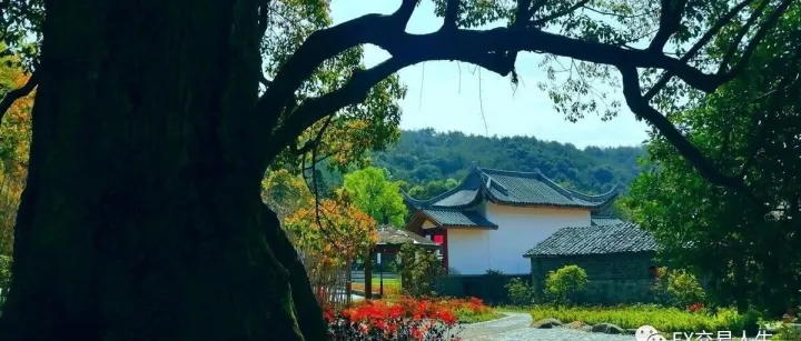 十年<em>外汇</em>经验告诉你，如何正确做<em>外汇</em>