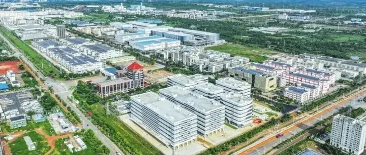 海口“走出去”招商亮眼成果之一：永道集团落户综保区