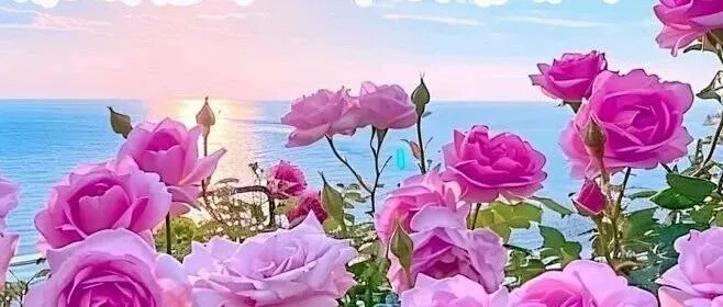 心情一美，福就來(lái)了