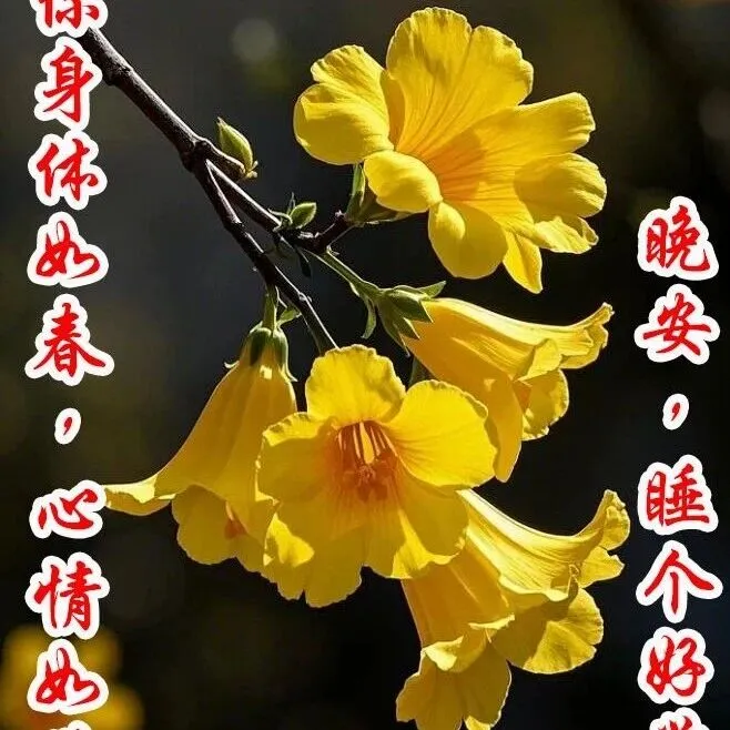 愿你身體如春，心情如花