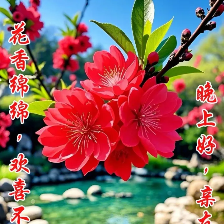 花香綿綿，歡喜不減