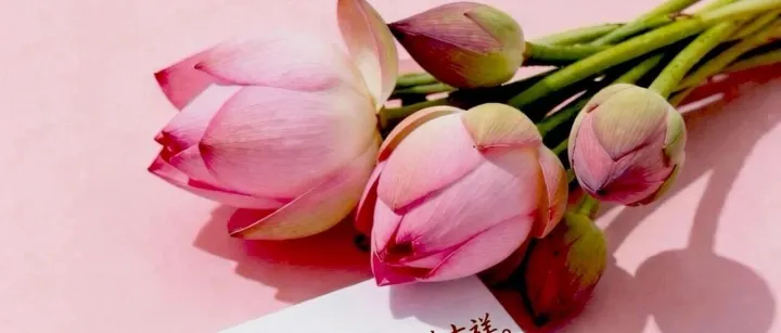 春風送吉祥，身心俱<em>安康</em>