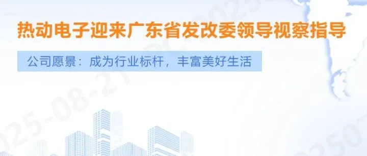 广东省发改委领导莅临热动电子指导工作