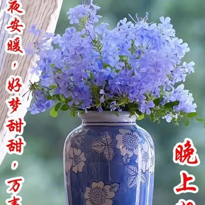 一盞清茶送晚霞，半窗疏影映燈花