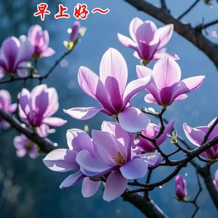 一路相伴情誼長(zhǎng)，歲歲芬芳皆安康