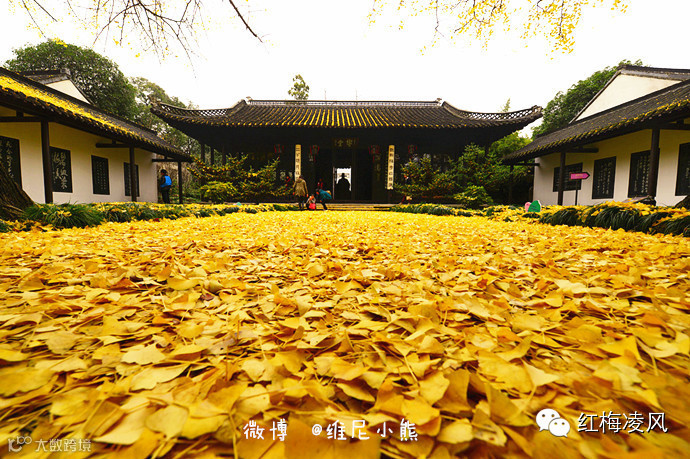 【江苏】如画卷般初冬最美的扬州时光