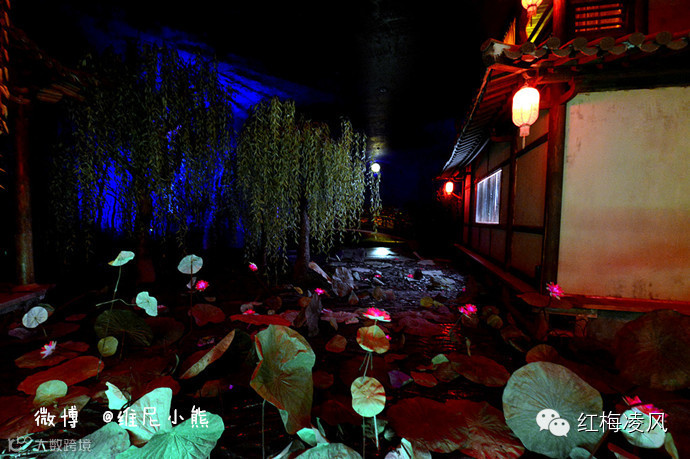 【江苏】如画卷般初冬最美的扬州时光