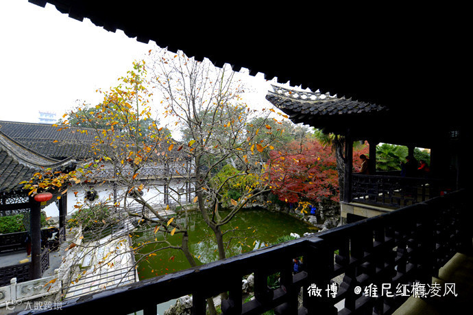 【江苏】如画卷般初冬最美的扬州时光