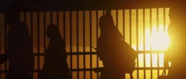 聚力深耕，行稳致远丨视频：金鹰集团2025年度全球亮点回顾