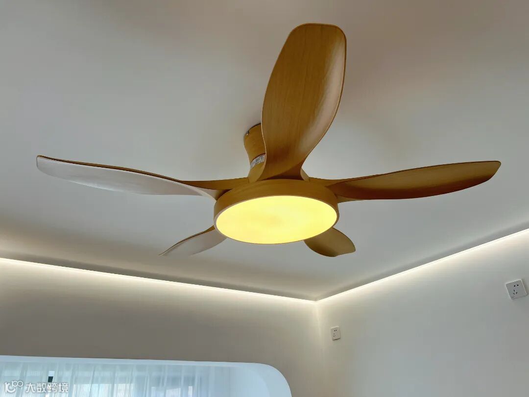 2023-07-25 112249.jpg