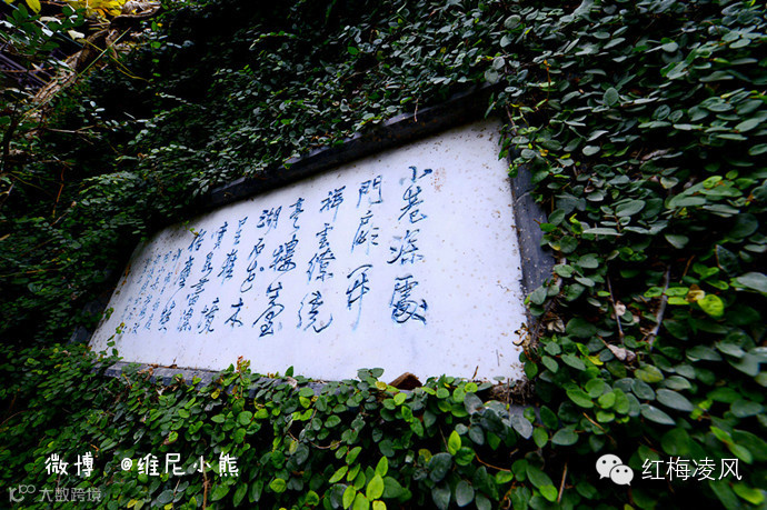 【江苏】如画卷般初冬最美的扬州时光