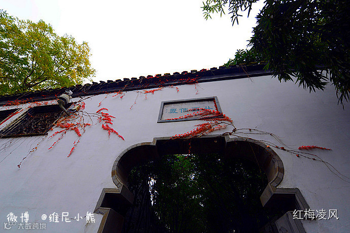 【江苏】如画卷般初冬最美的扬州时光