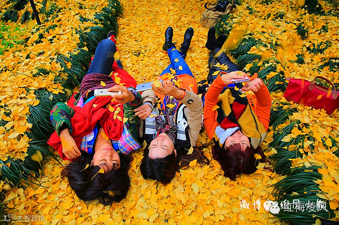 【江苏】如画卷般初冬最美的扬州时光