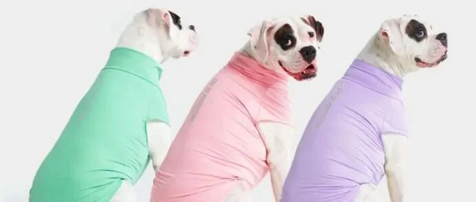 又一小众赛道跑出爆品！一件狗衣服单价两三百，半年卖出5600万美金 | 品牌出海