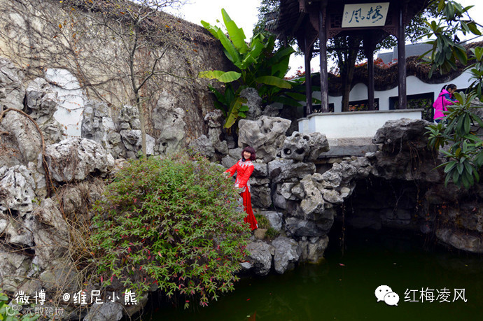 【江苏】如画卷般初冬最美的扬州时光